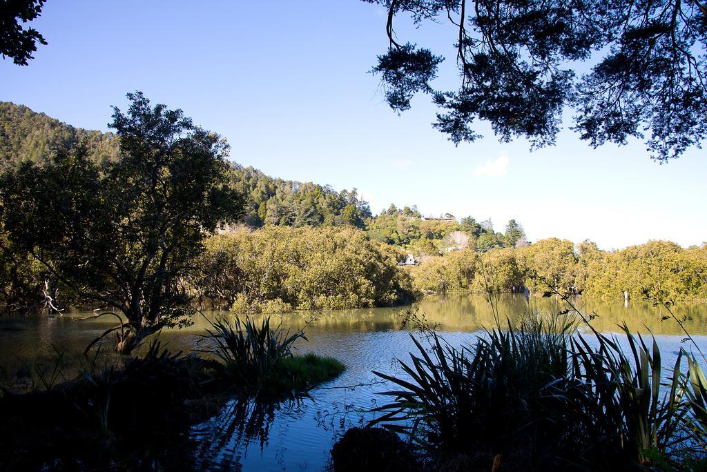 By The Park B & B Whangarei Luaran gambar