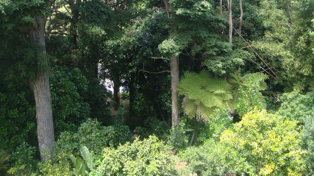 By The Park B & B Whangarei Bilik gambar
