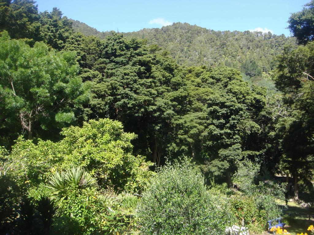 By The Park B & B Whangarei Bilik gambar