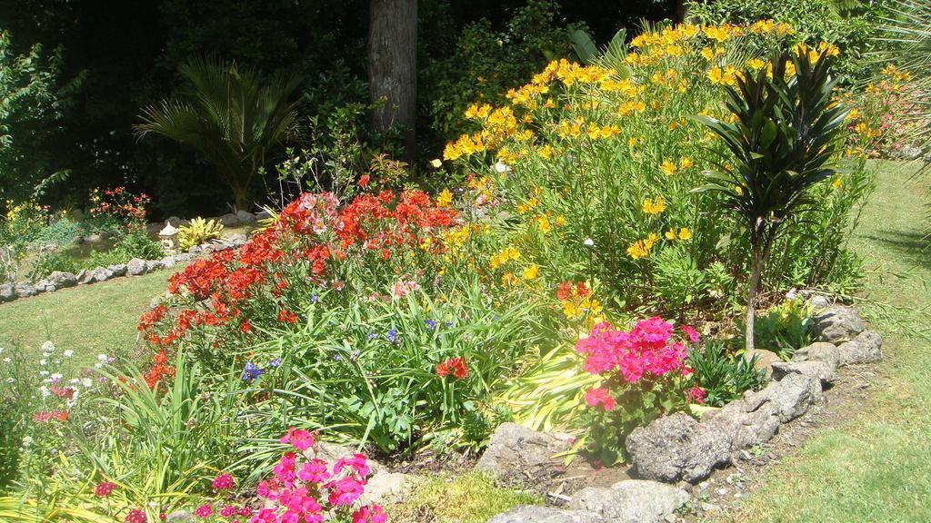 By The Park B & B Whangarei Bilik gambar
